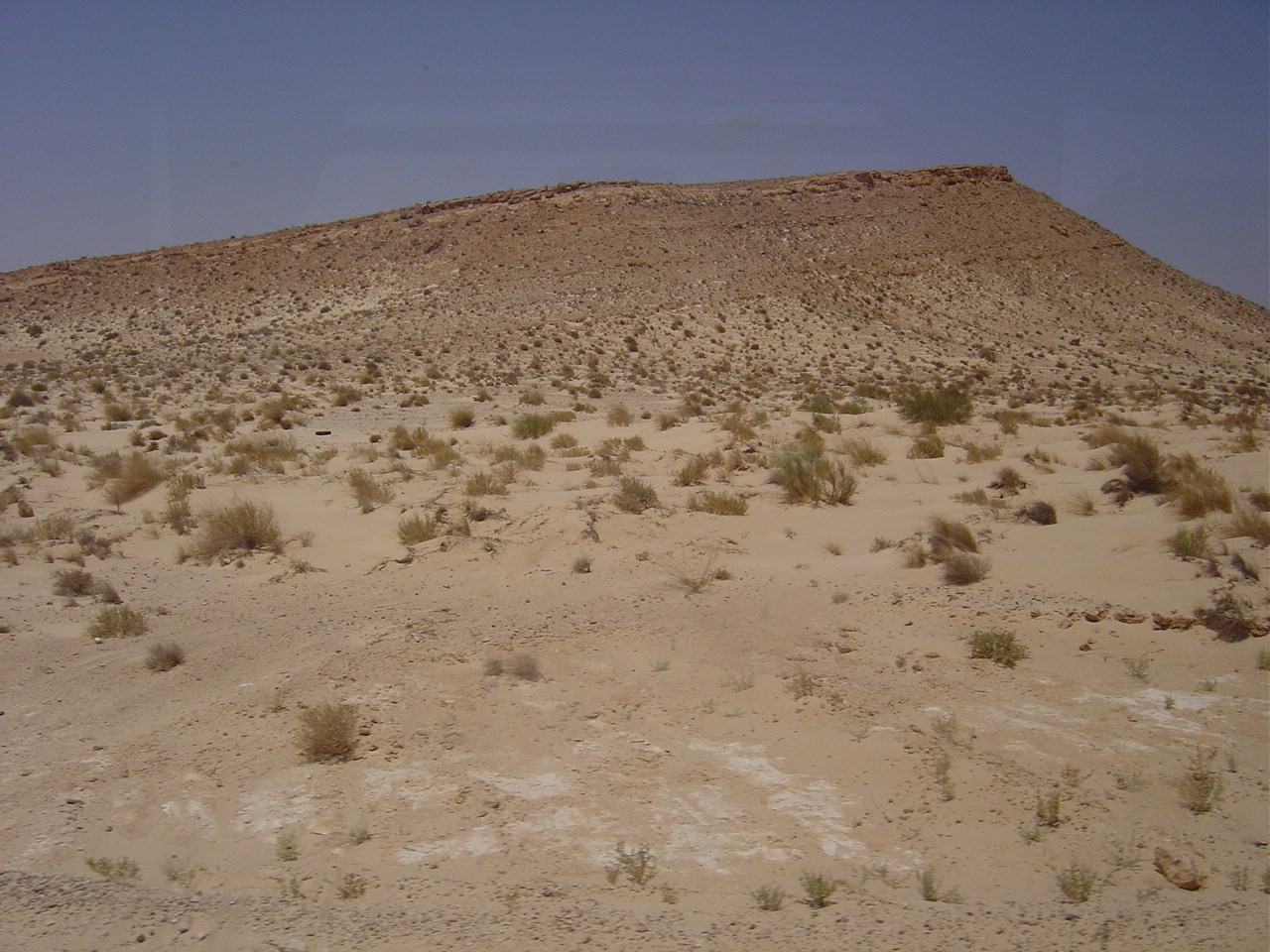 DSC05837.JPG