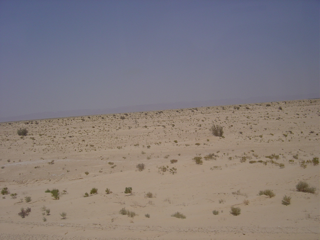DSC05842.JPG